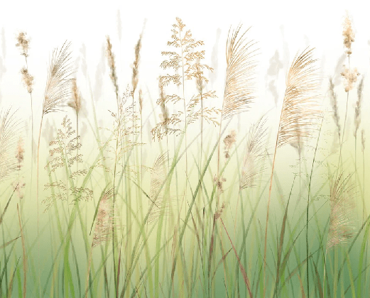 Papier peint fleur des champs de blé dégradé - Muralconcept