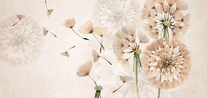 Dandelion flower wallpaper