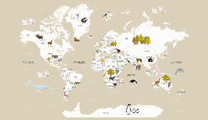 Papier peint Carte du monde en Francais enfant beige - Muralconcept