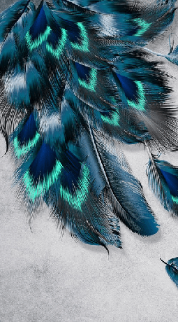 Flying Peacock bathroom wallpaper