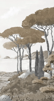 Papier peint balade dans les calanques brun