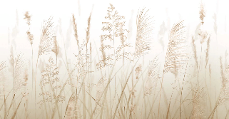 Wheat field flower wallpaper