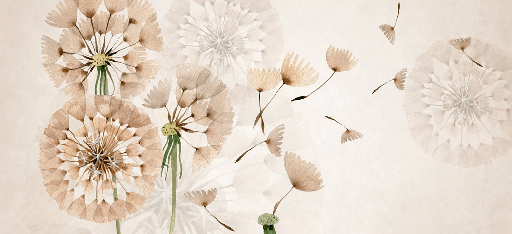 Dandelion flower wallpaper