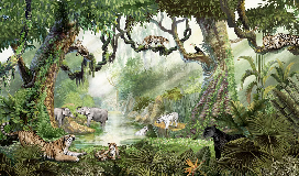 Papier peint enfant jungle secrète - Muralconcept