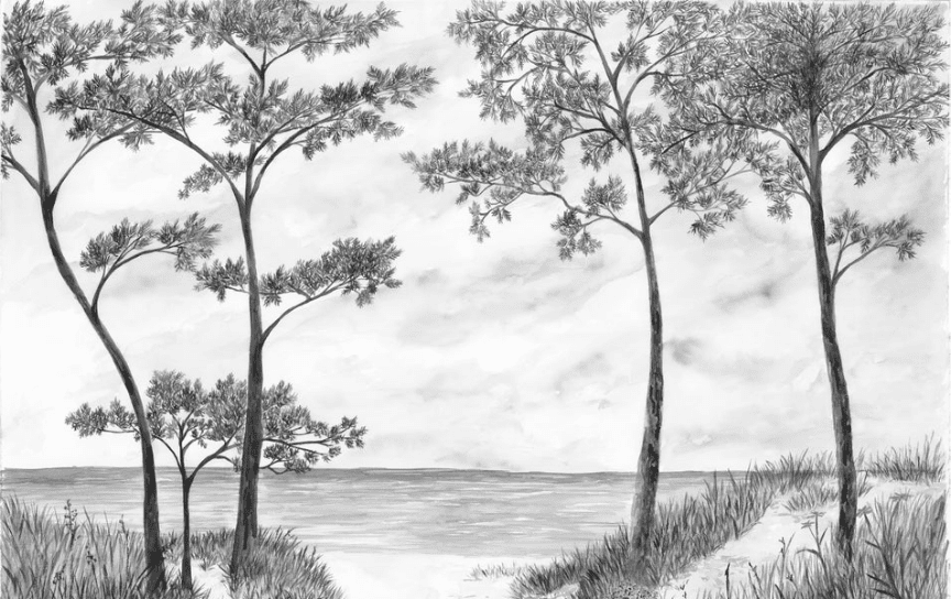 Papier peint Pins maritimes et dunes - Noir et blanc - Muralconcept