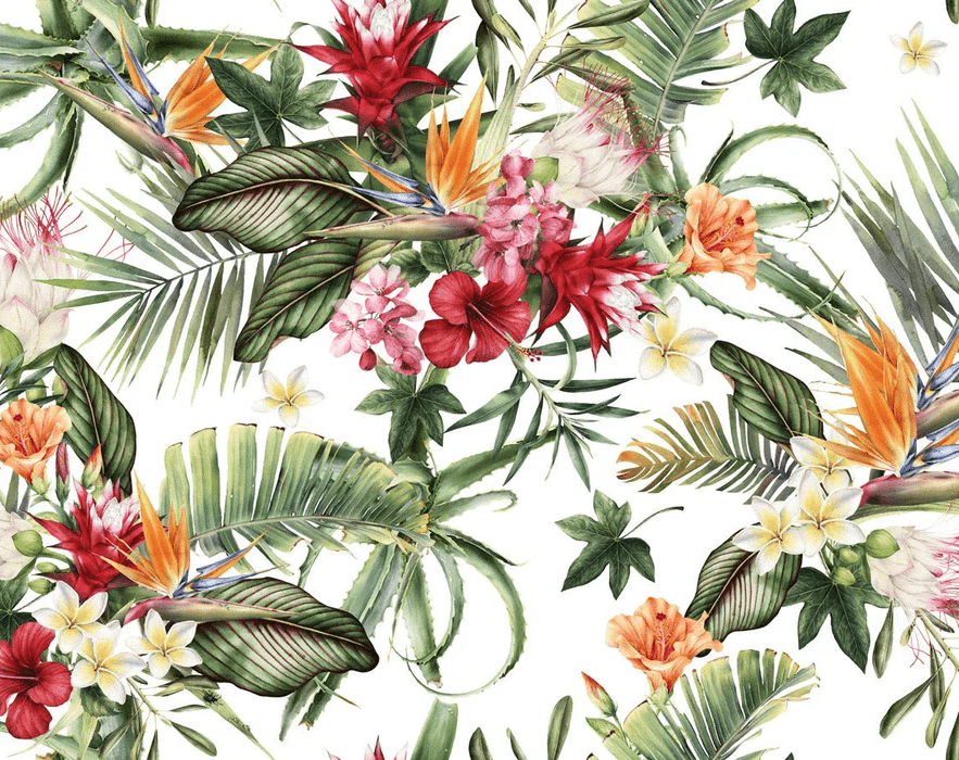 Tropical wallpaper & Colorful flowers