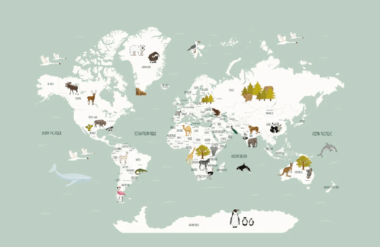 Papier peint Carte du monde en Francais enfant vert - Muralconcept