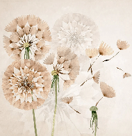Dandelion flower wallpaper