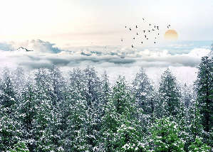 Panoramic non-woven wallpaper, snow-covered pine forest