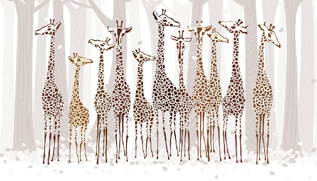 Elegant Giraffes Wallpaper