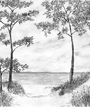 Seaside Pines and Dunes Wallpaper - Black and White