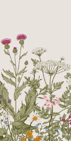 Papier peint fleur botanique folk romantique, XXL, tendance