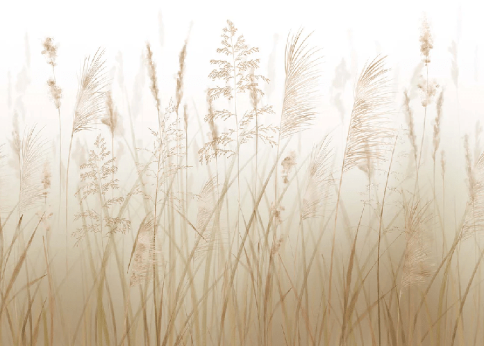 Wheat field flower wallpaper