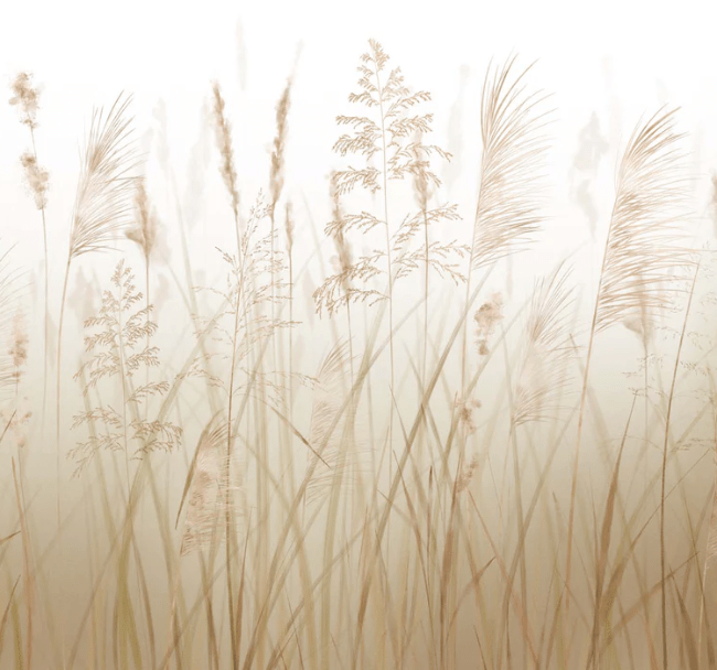 Wheat field flower wallpaper