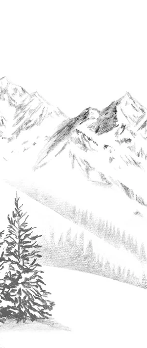 Papier peint immersion Alpine - Muralconcept