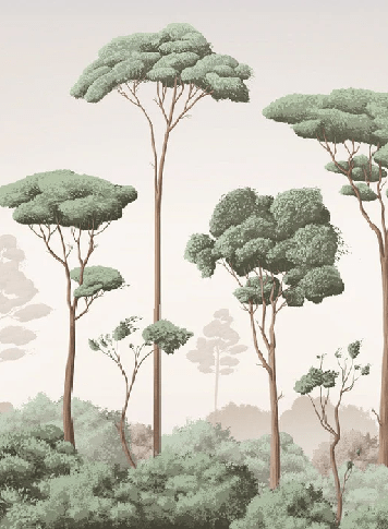 Light Breeze Pine Forest Wallpaper