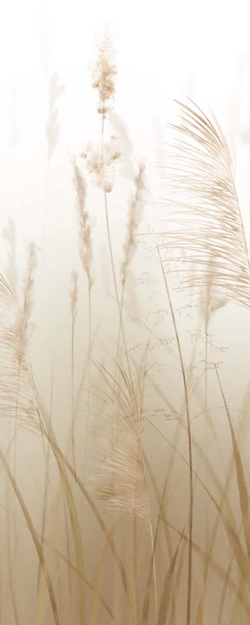 Wheat field flower wallpaper