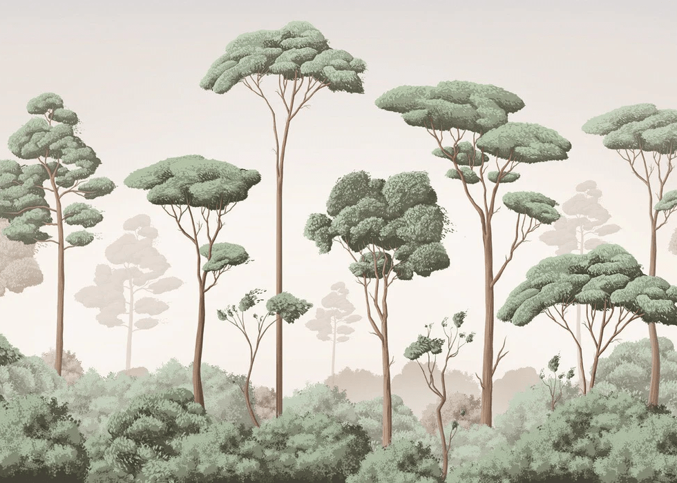 Light Breeze Pine Forest Wallpaper