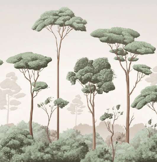 Light Breeze Pine Forest Wallpaper