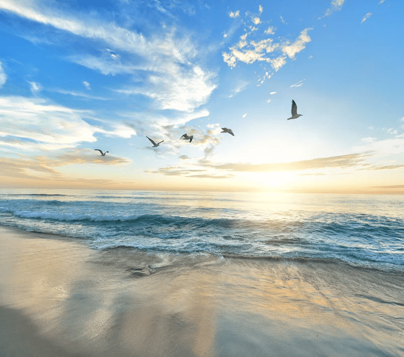 Paradise Beach wallpaper