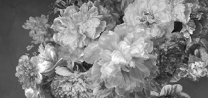 Black and white peony flower wallpaper