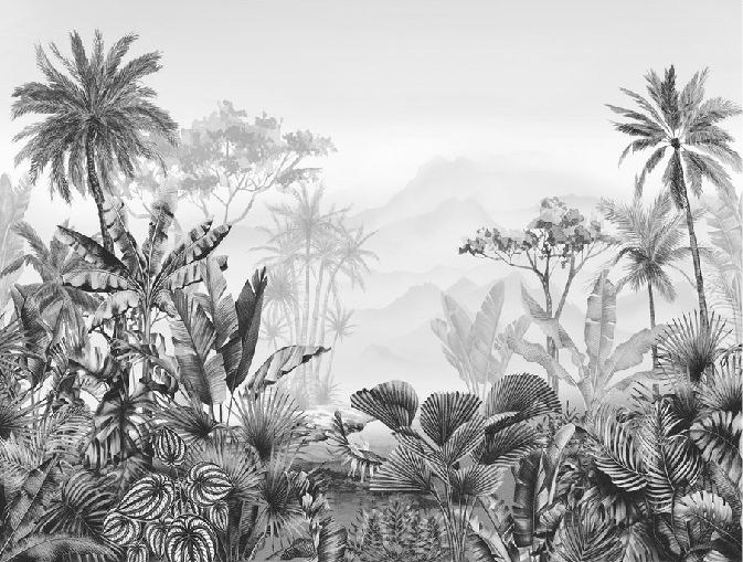 Black and white tropical trend wallpaper