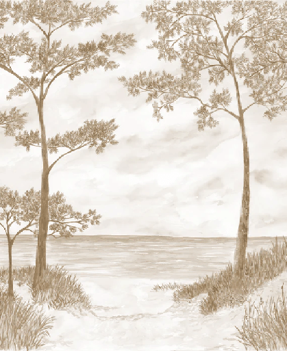 Maritime Pines and Dunes Wallpaper - Sepia