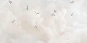 Panorama-Tapete – Zeitloser Himmel - Muralconcept