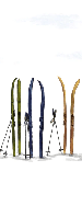 Colorful skis panoramic wallpaper