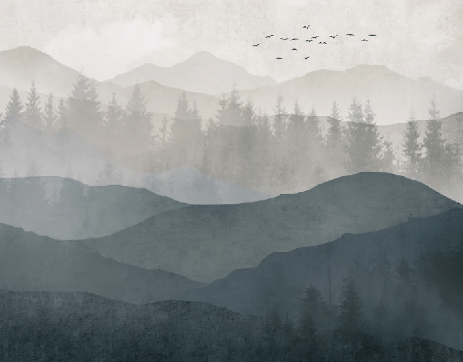 Black and white nature panorama wallpaper