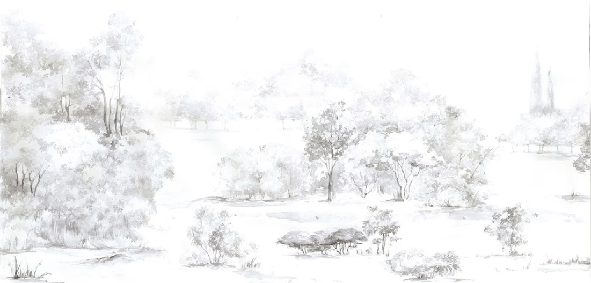 Papier peint forêt de pin aquarelle - Muralconcept