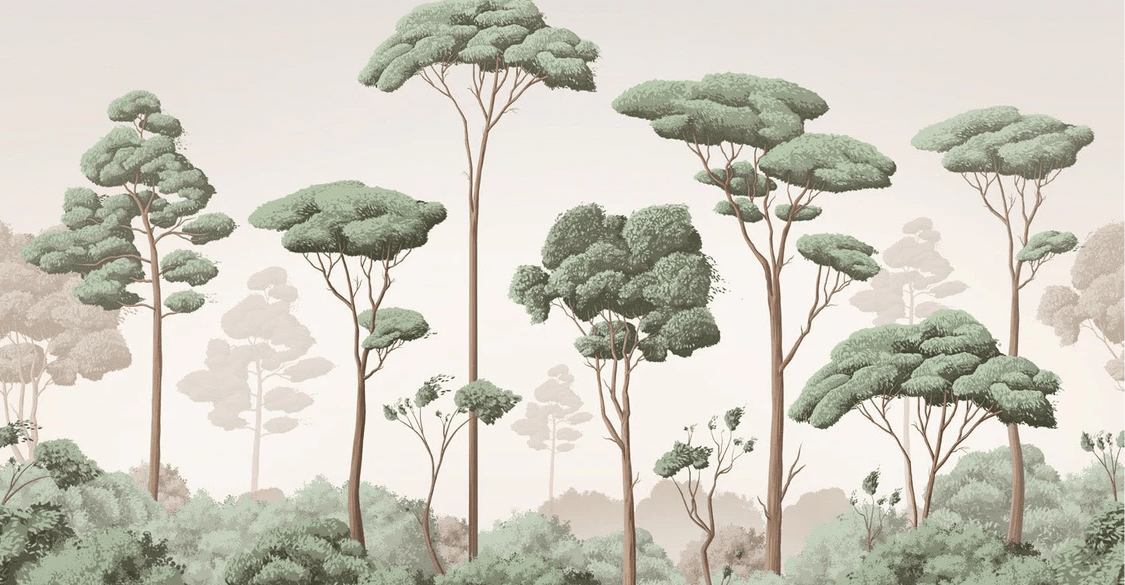 Pine forest breeze wallpaper