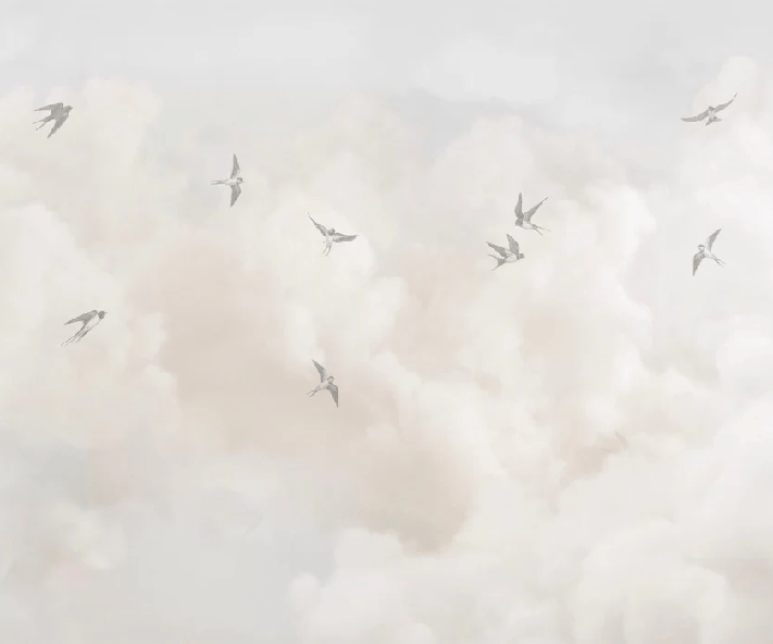 Panoramic wallpaper - Timeless sky