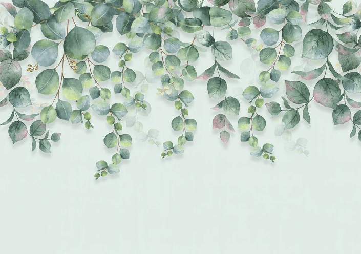 Eucalyptus plant nature wallpaper