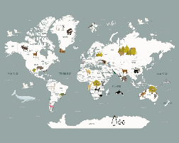 Wallpaper World Map in French for Children, Gray