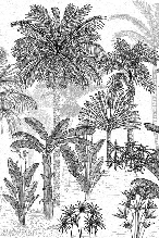 Trendy coconut tree jungle wallpaper for bathrooms
