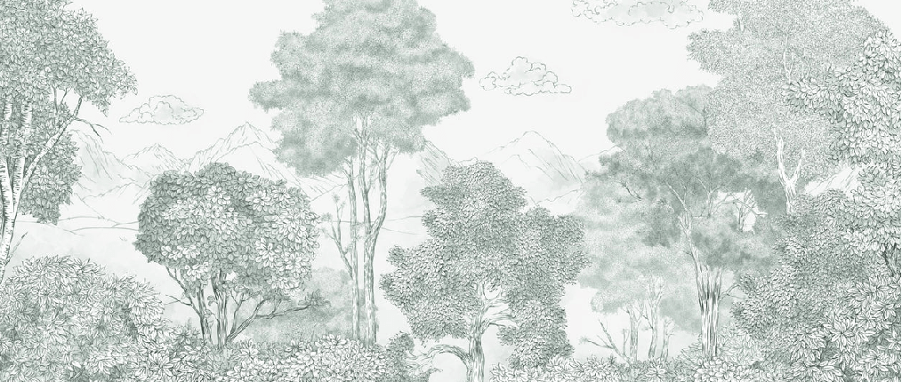 Papier peint panoramique Forêts et Monts vert - Muralconcept