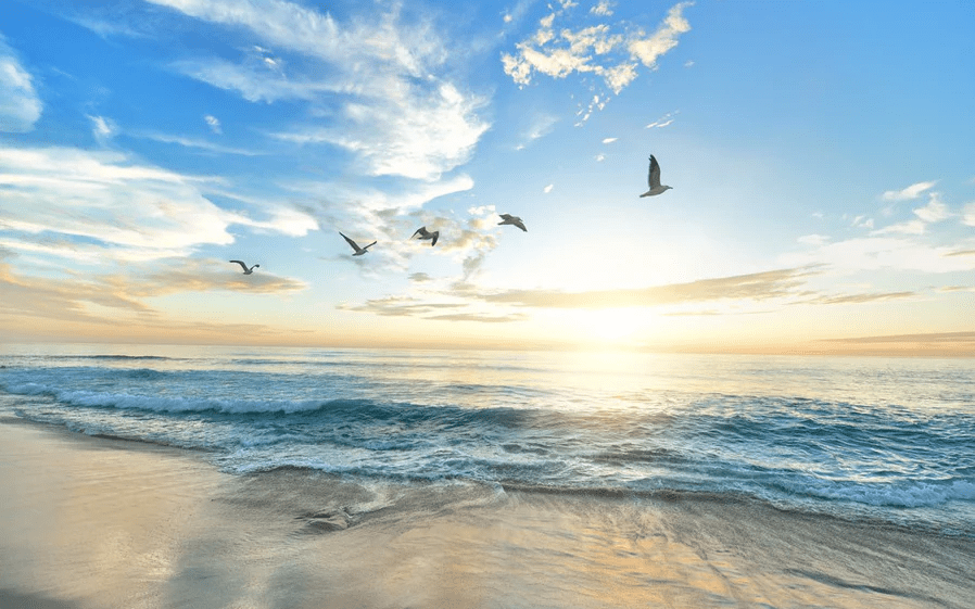 Paradise Beach Wallpaper