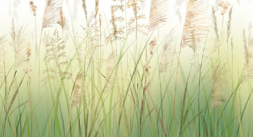 Papier peint fleur des champs de blé dégradé