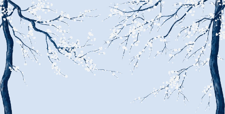 Sakura flower panoramic wallpaper