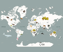 Papier peint Carte du monde en Francais enfant gris