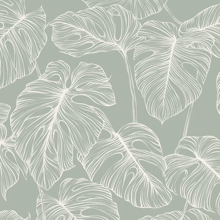 Monstera sage leaf wallpaper
