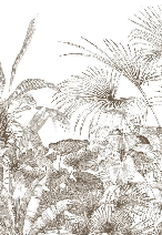 Tropical monochrome engraving wallpaper