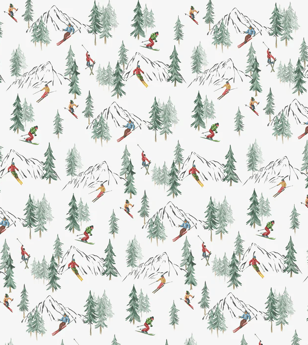 Papier peint Alpine glisse - Muralconcept