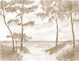 Maritime Pines and Dunes Wallpaper - Sepia