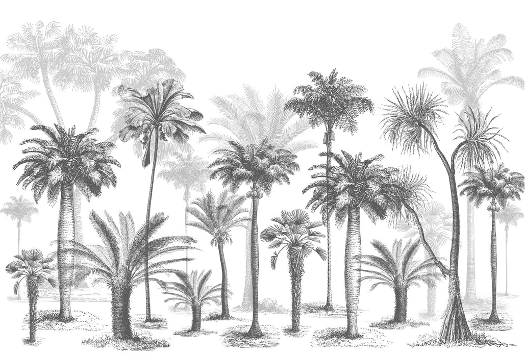 Papier peint Jungle Black & White