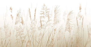 Papier peint fleur des champs de blé