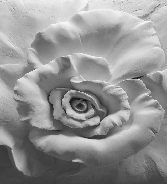 Papier peint Flower Sculpture 3D, XXL, tendance