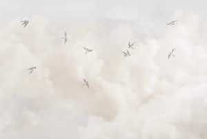 Panorama-Tapete – Zeitloser Himmel - Muralconcept