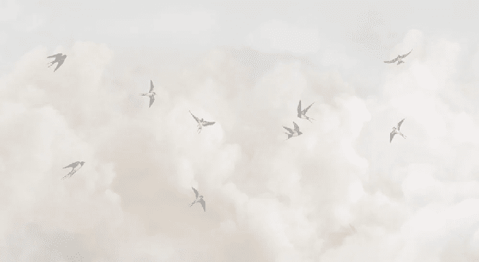 Papel pintado panorámico - Cielo atemporal - Muralconcept